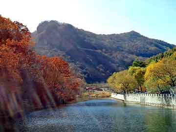保山吃完打胎药吃宫血宁（药流后吃宫血宁和益母草哪个好）